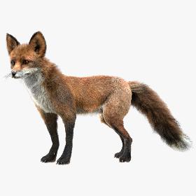 3D model Night Future Cyber City Low Poly